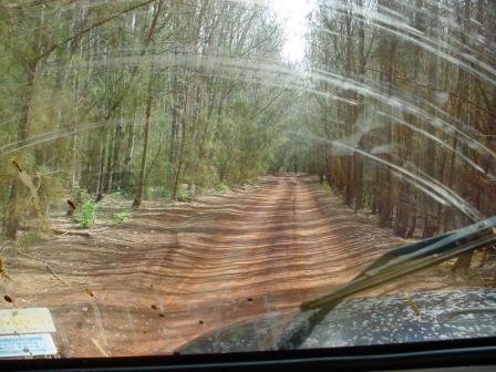 4 Wheeling in Hawaii